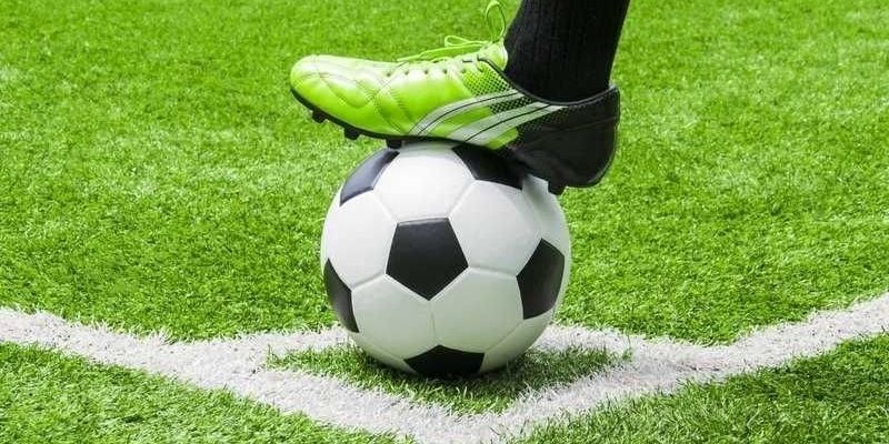 Cược nửa trái nổi tiếng trong bảng tỷ lệ nhà cái 